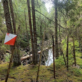Augustposten er ute